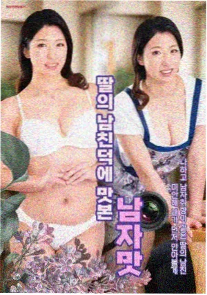 雾港来客热播电视剧在线观看